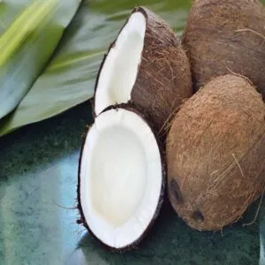 Coconuts