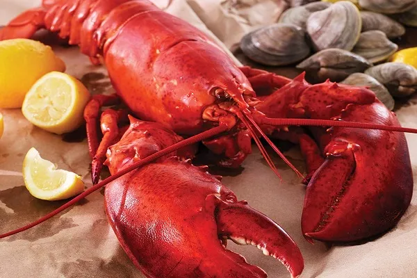 Lobsters seafoods