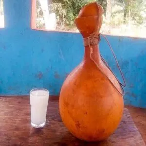 Palm wine