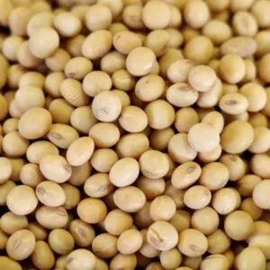 Soybeans