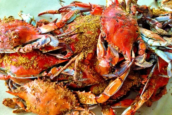 crab - seafood