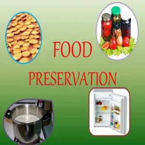 food preservation