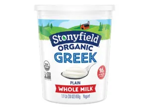 Greek yoghurt protein source 