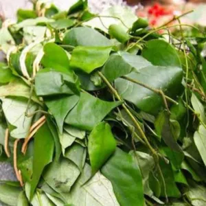 How to use vegetables in your daily meal