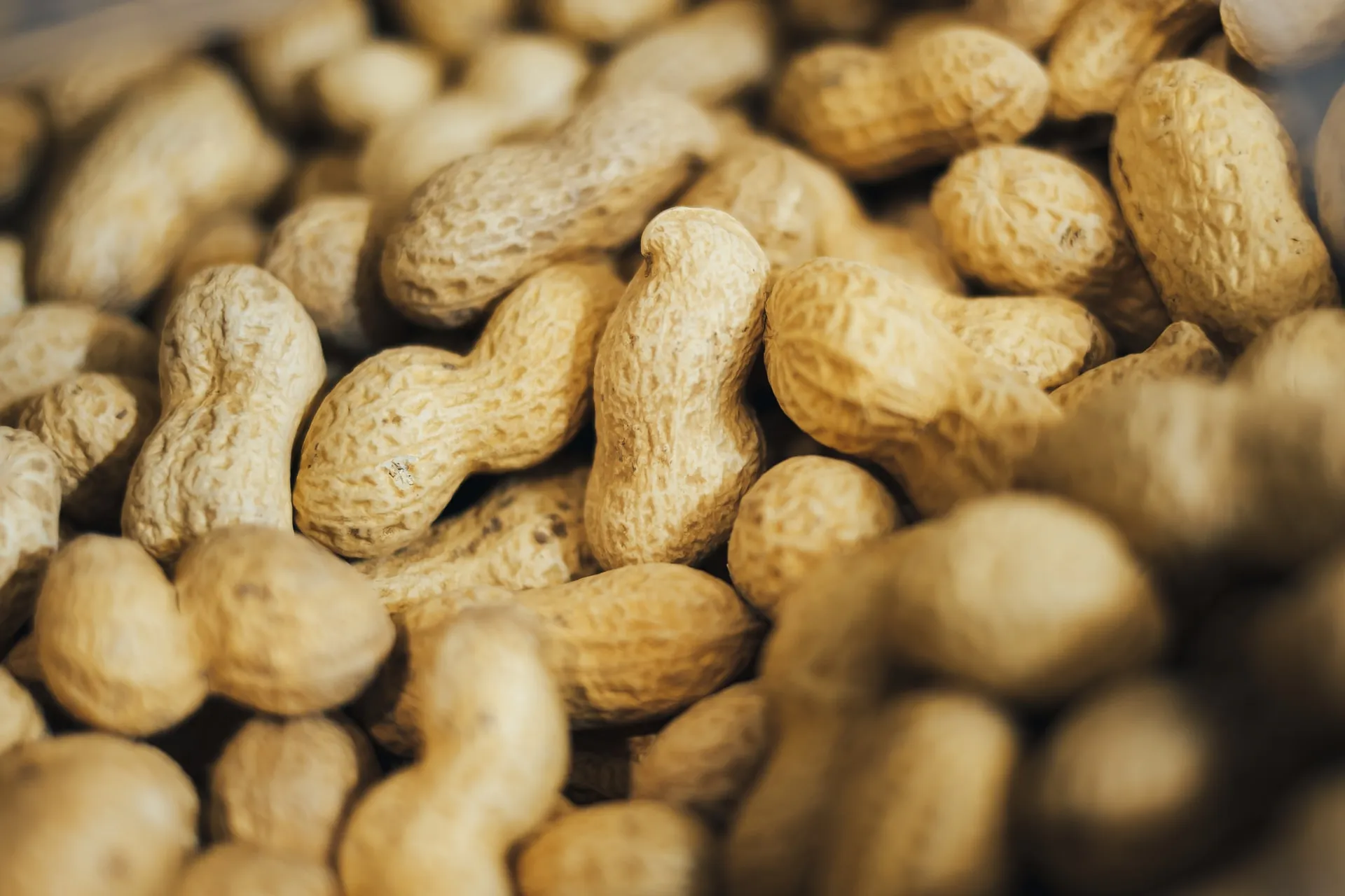 Peanuts - health benefits of nuts