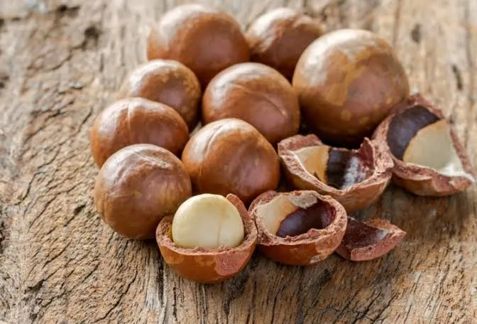 Macadamia nuts - health benefits of nuts