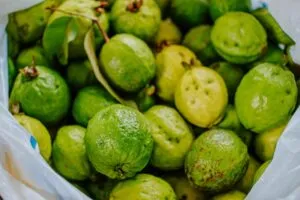 Guava helps boost mental health