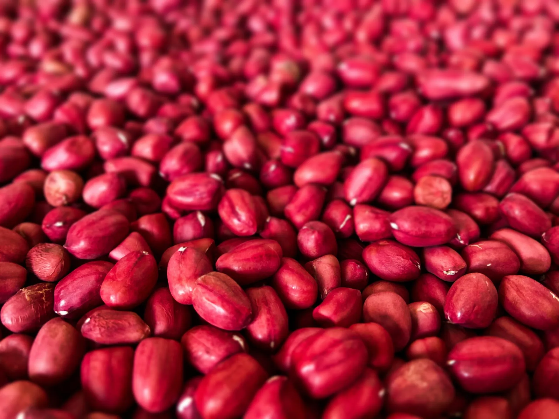 peanut production