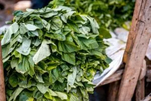 How to use vegetables in your daily meal