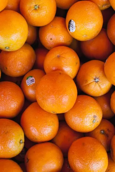 orange African fruit