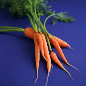 healthy vegetables
