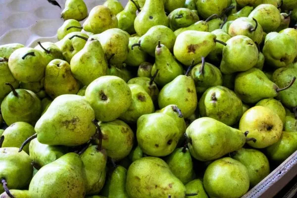 guava African fruit