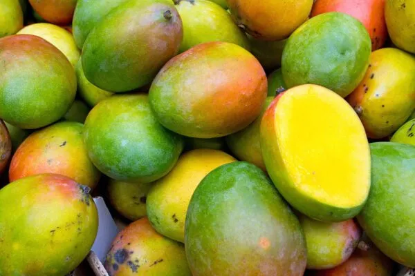 African mango African fruit
