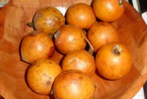 agbalumo-African fruits