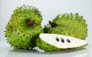 fun facts about soursop