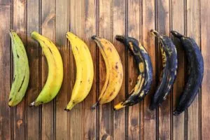 plantain-plantain dishes