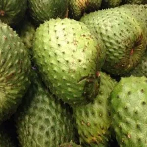 soursop