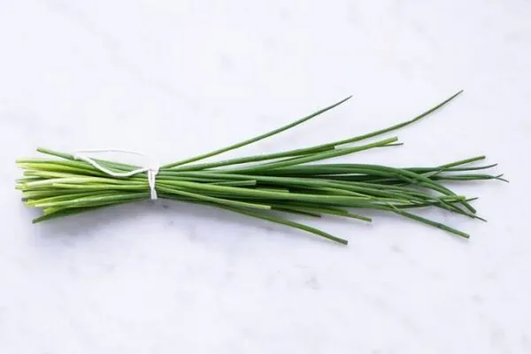 Chives - nutritional benefits of onion