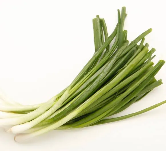Green onion - nutritional benefits of onion