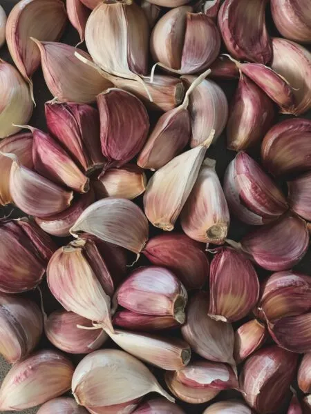 Garlic - uses of garlic and ginger