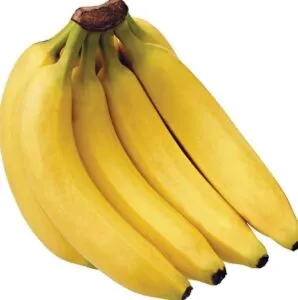 cavendish banana 