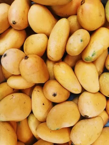 Cherry mangoes