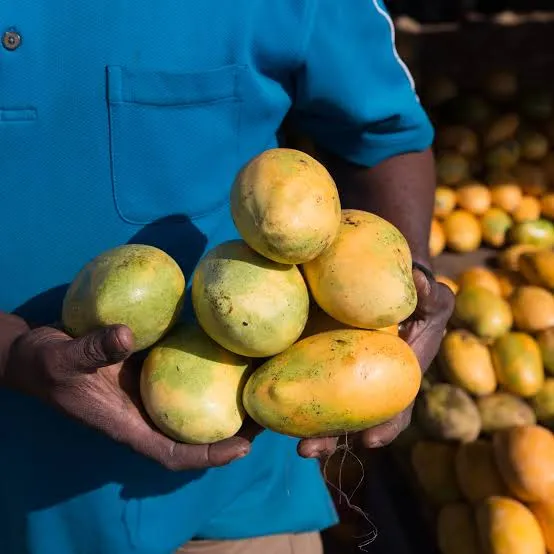 African mangoes