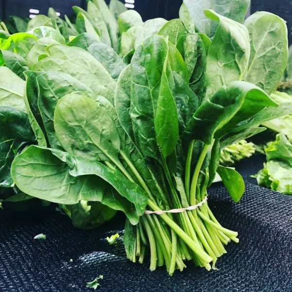 Spinach - foods that help your hair grow