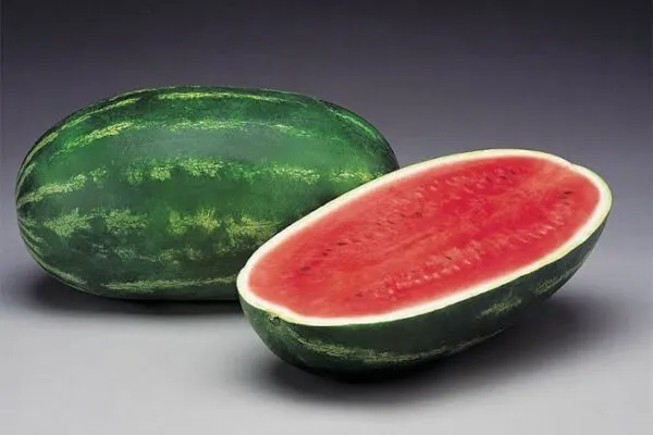 Jamboree watermelon - varieties of watermelon
