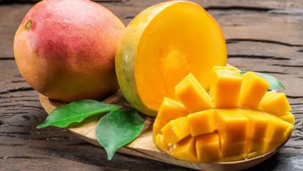 Kent mangoes