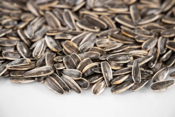 Sunflower seeds- foods that help your hair grow