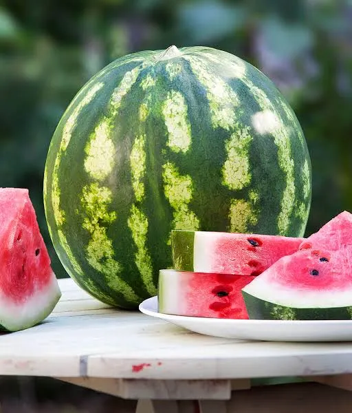 Crimson sweet watermelons