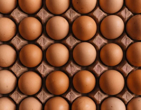 Eggs-food that help your hair grow
