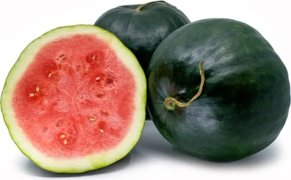 Black watermelon - types of watermelon