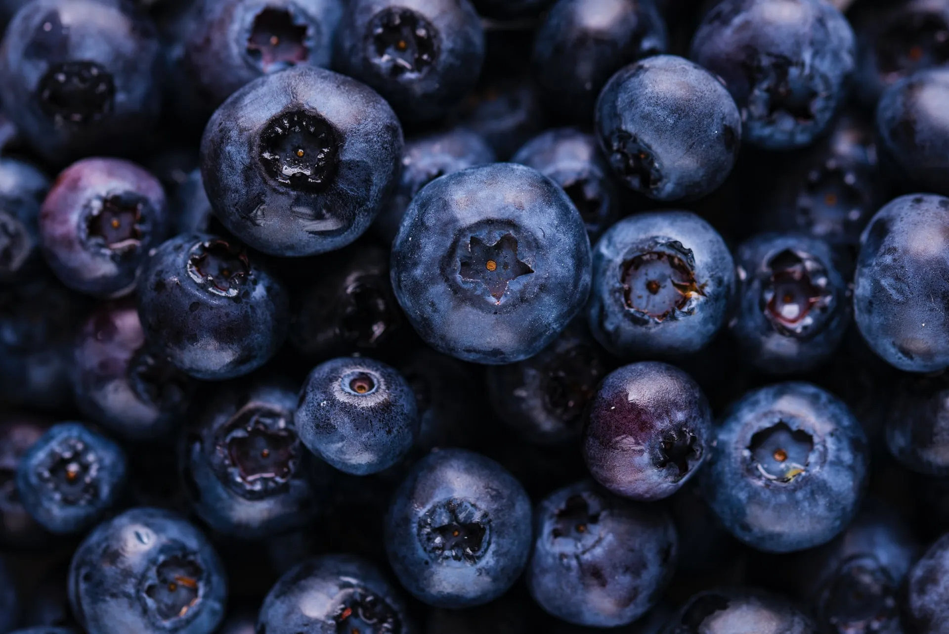 Blueberries - Fruits in the berry family