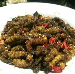 Ifinkubala