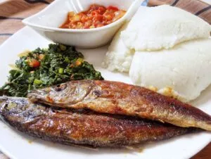 Zambian Fish Meal