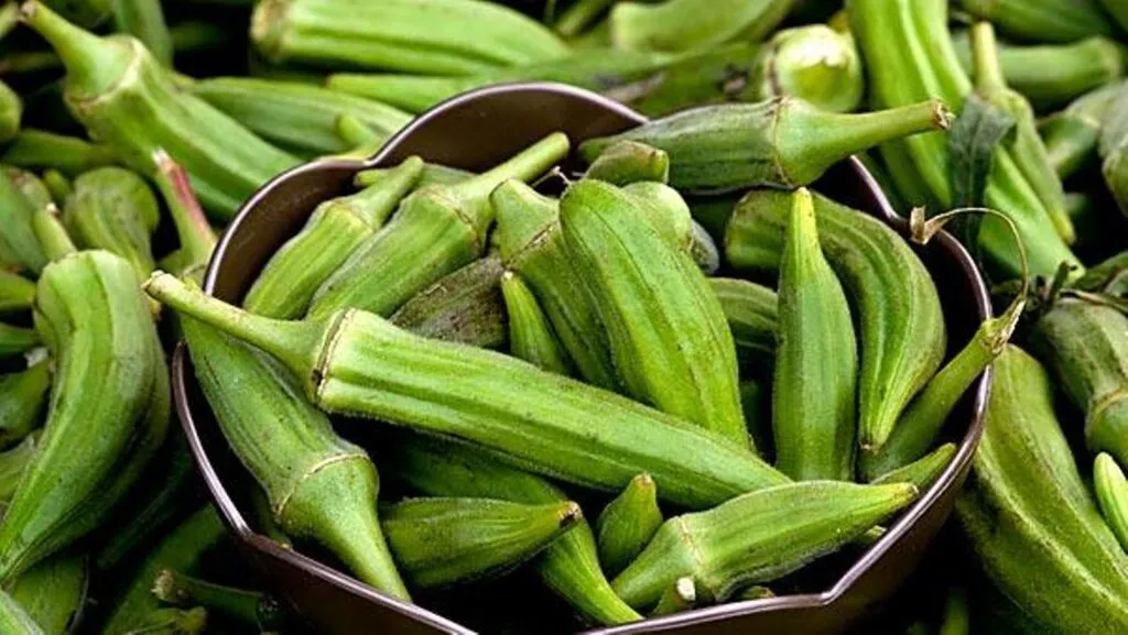 African Origin Okra 
