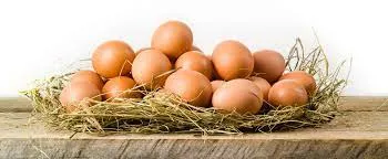 Health benefits of Eggs 