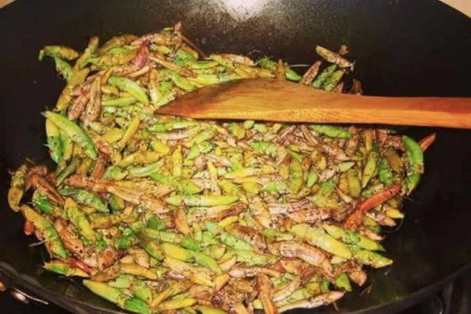 Nsesene Weird African Food