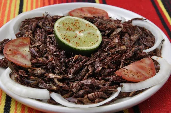 Fried Termites