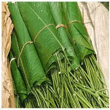 Moi Moi leaves