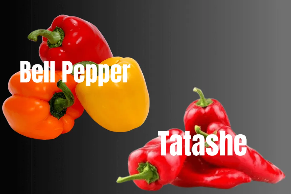 Tatashe Bell Pepper