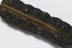 Uyayak fruit