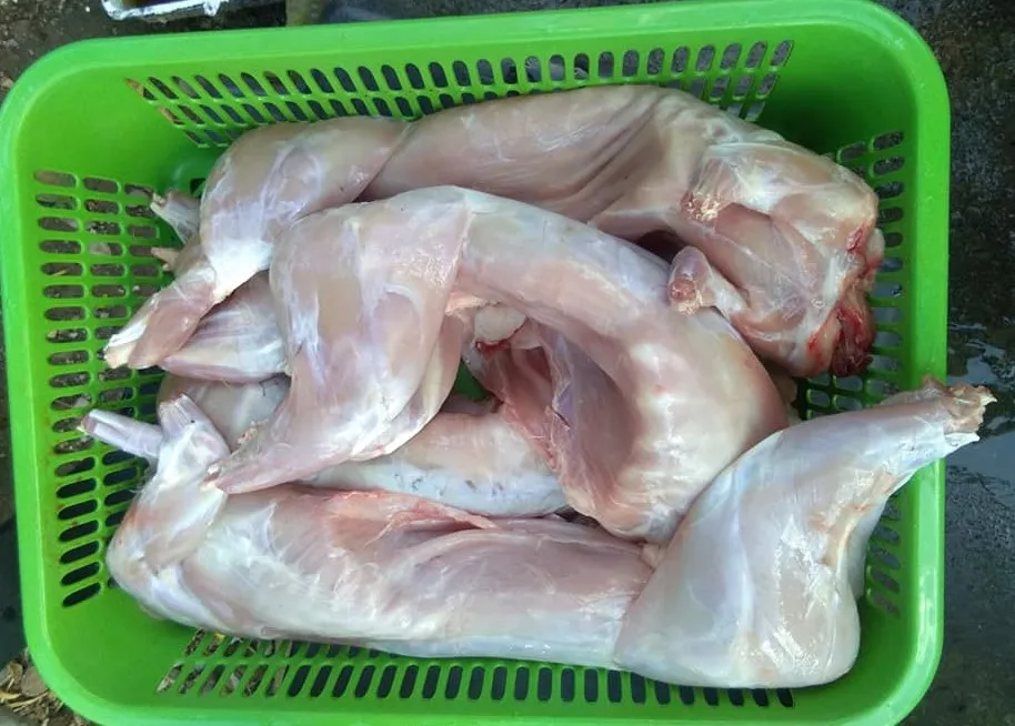 What Does Rabbit Taste Like?