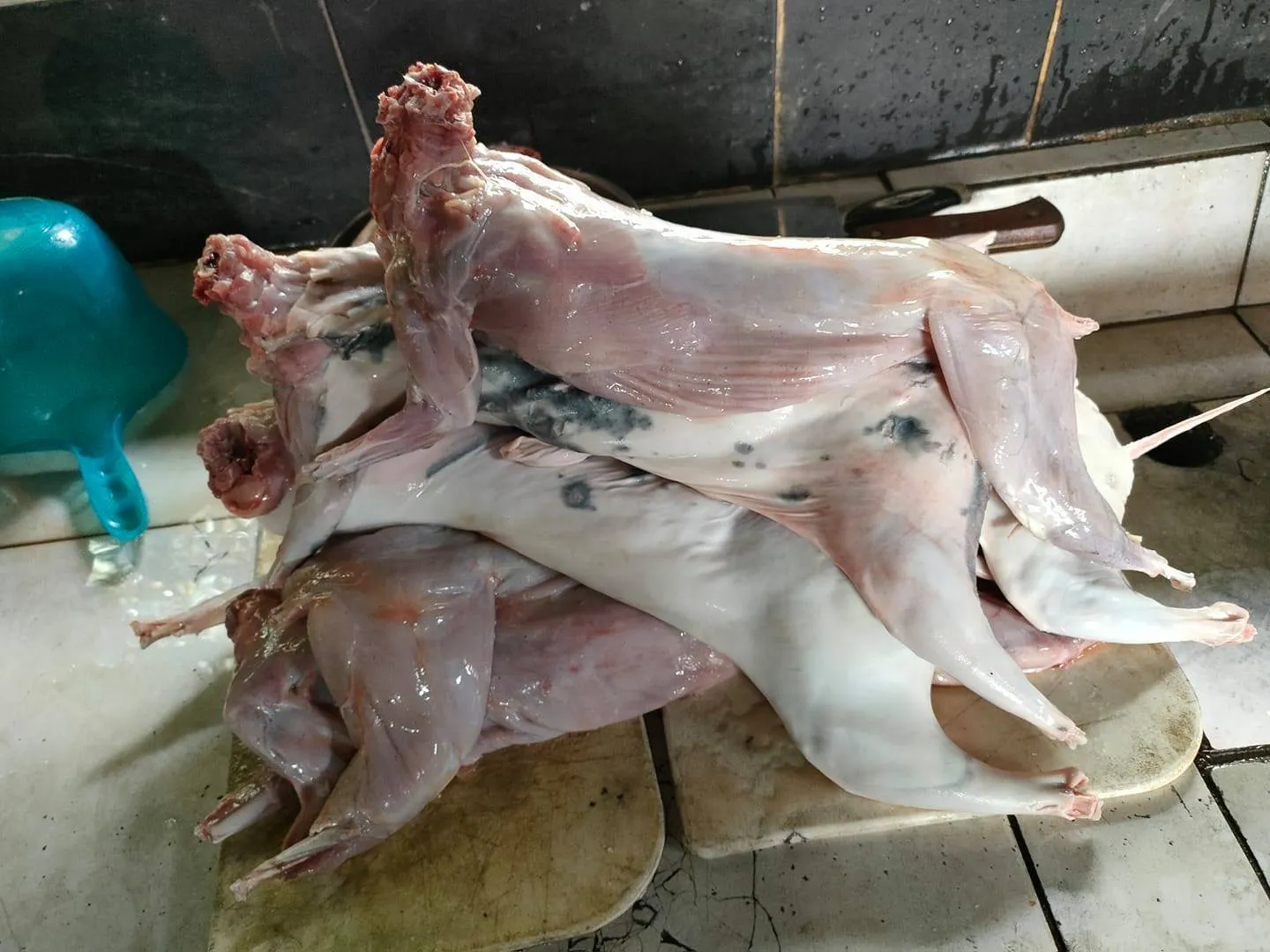 What Does Rabbit Taste Like?
