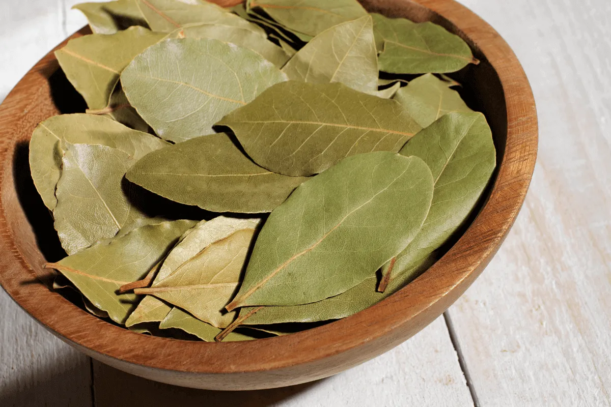 Bay Leaves Substitute