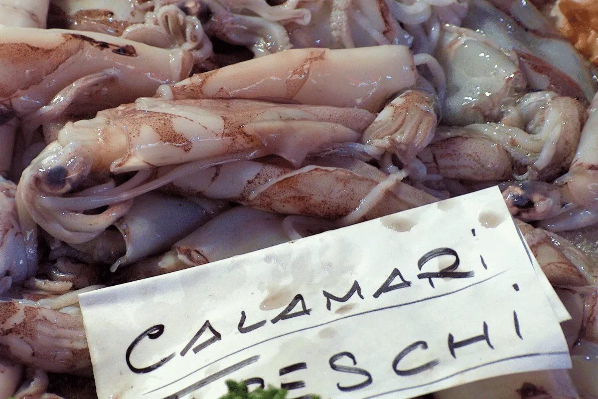 Types of Seafoods