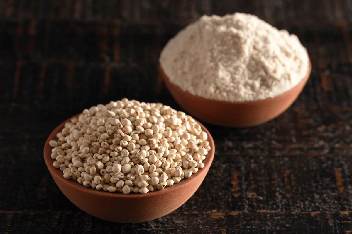  Sorghum and Millet