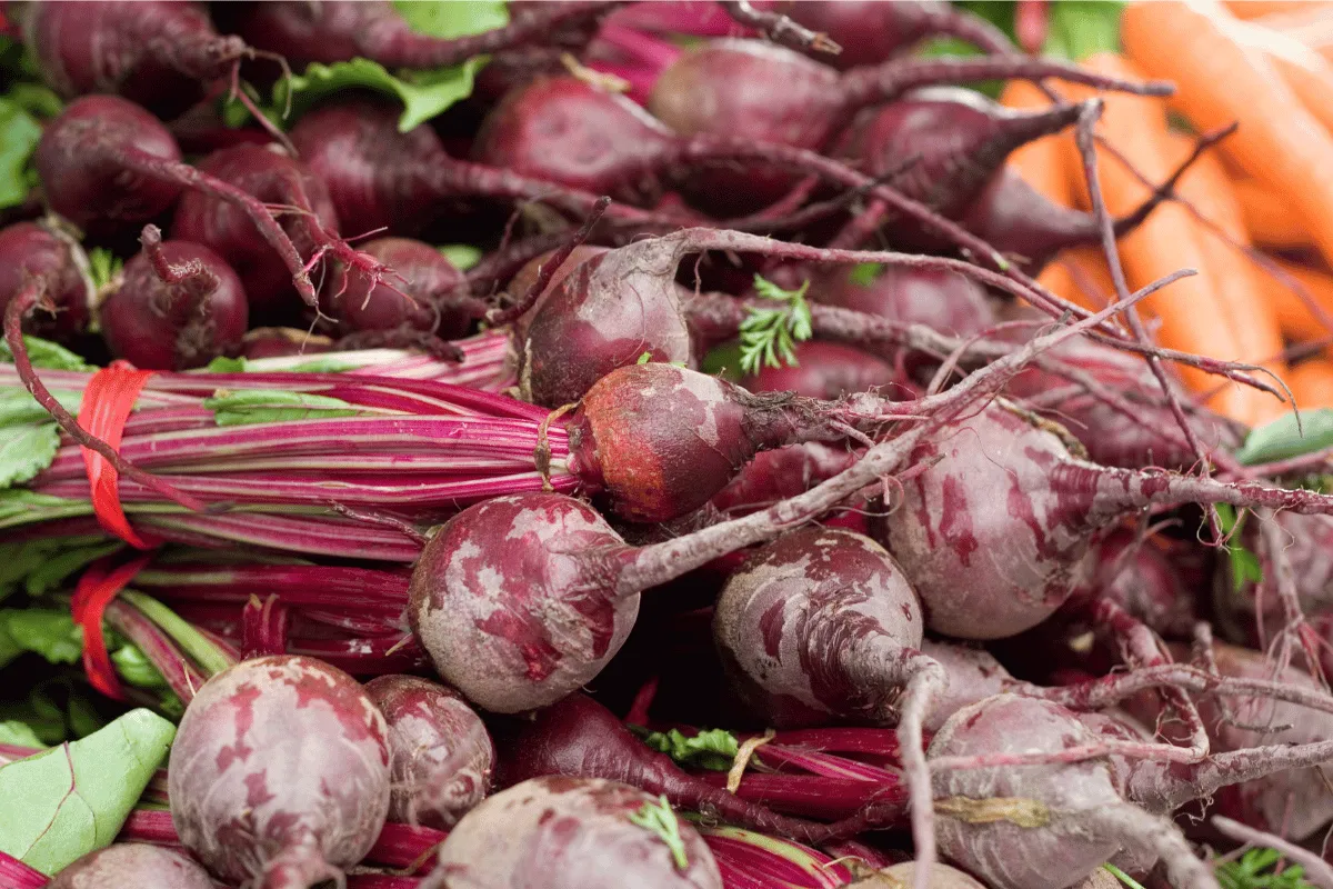 what do beets taste like